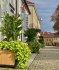 Znojmo Heritage - Apartments & Gothic Wine Bar